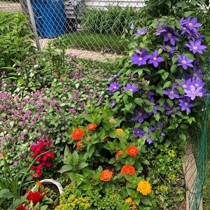 Meet your Posher, Wendy